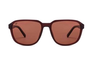 Kính mát Wayfarer Full Rim màu hạt dẻ